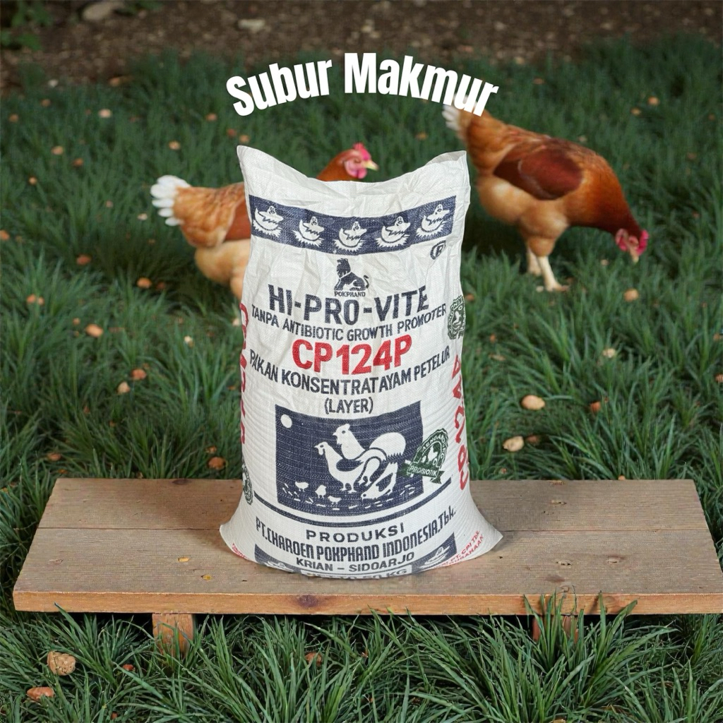 PAKAN AYAM CP 124P / KONSENTRAT AYAM PETELUR / KONSENTRAT AYAM