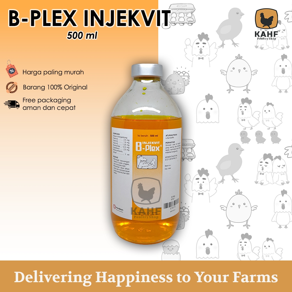 Vitamin B kompleks Injeksi 500 ml Injekvit B Plex Medion Unggas Kuda Sapi Babi