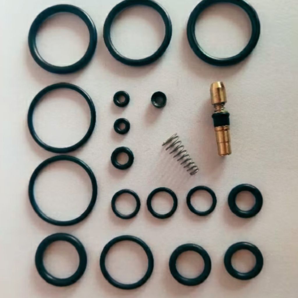 Seal Set 4 stage , Oring seal pompa Pcp