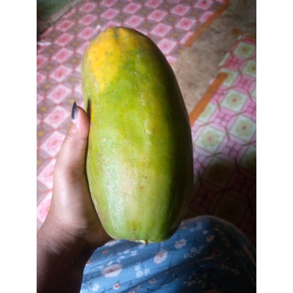 BUAH PEPAYA MATANG TANPA KARBIT 1 KG