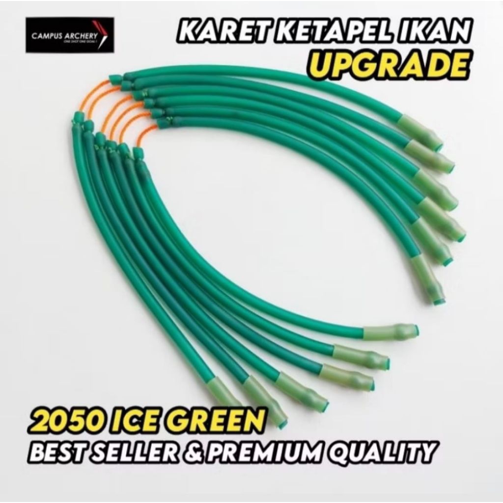 KARET KETAPEL IKAN PASER IKAN