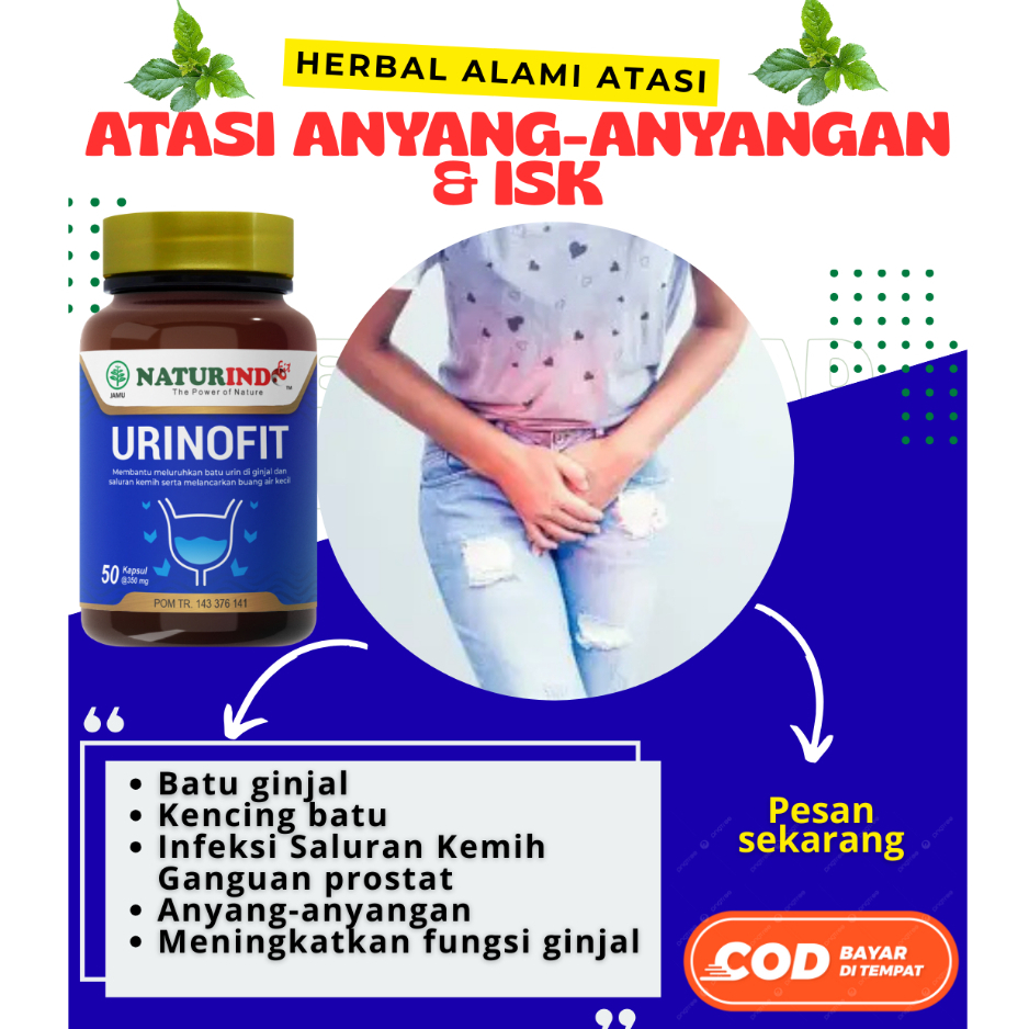 URINOFIT Obat Herbal Anyang Anyangan Batu Ginjal Infeksi Saluran Kemih Kencing Berbusa