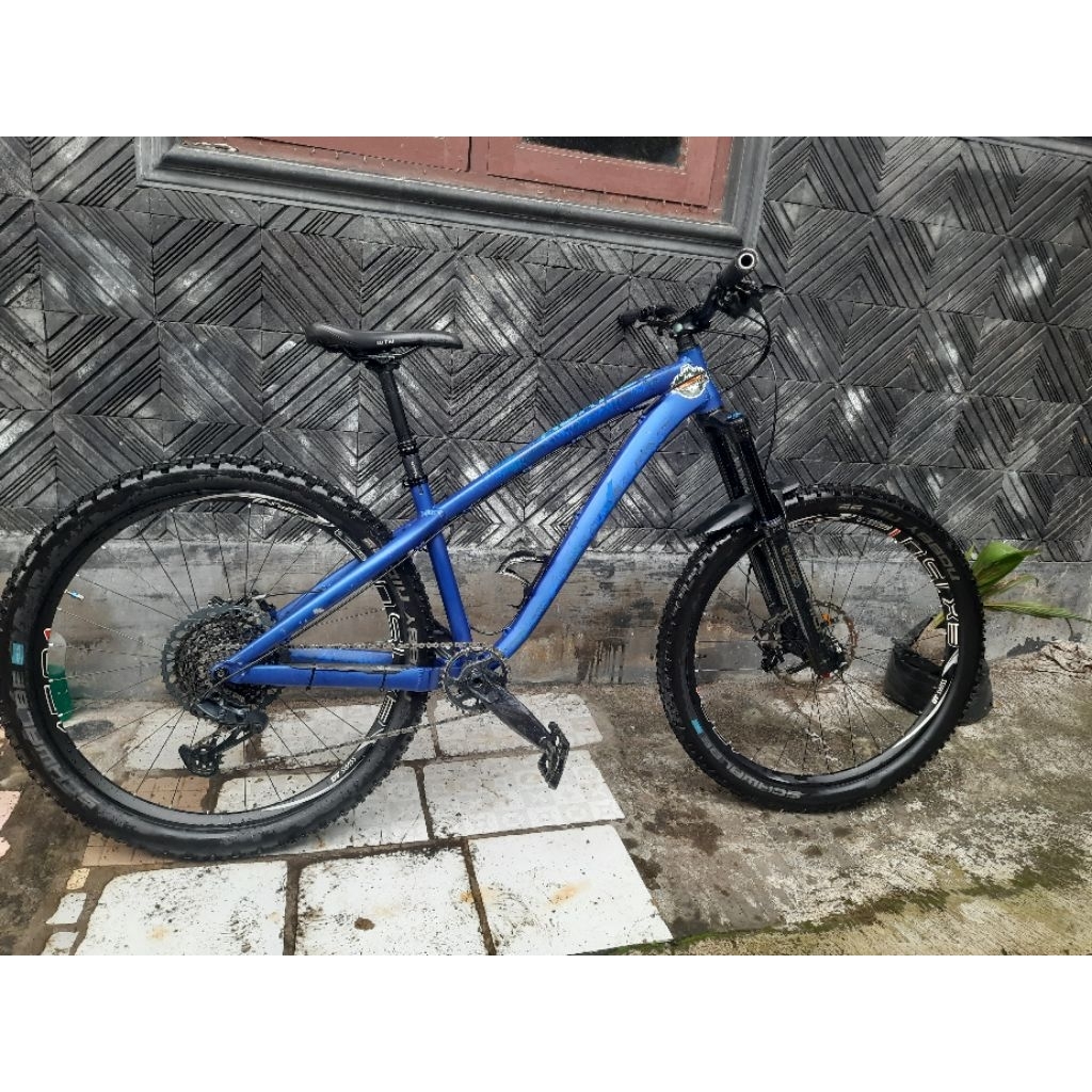 frame dartmoor hornet