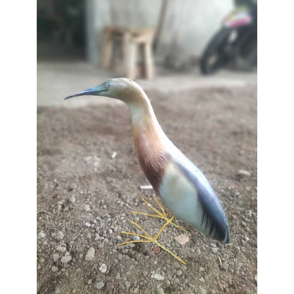 jontrot boneka burung balelok sawah mirip asli ampuh