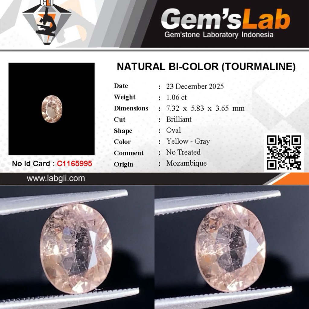 1,06 cts Natural Bi-Color Tourmaline origin Mozambique No Treatment Memo GLI