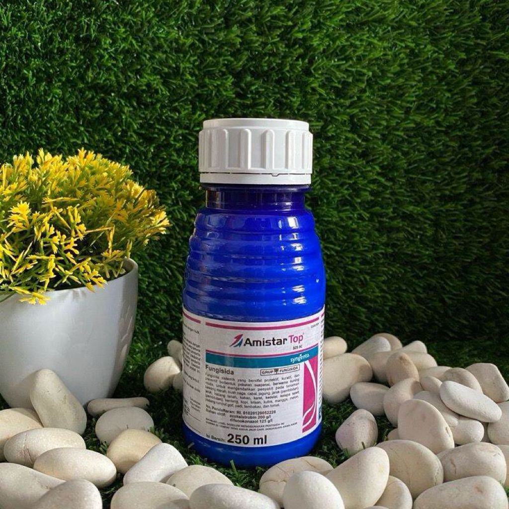Fungisida Amistartop 250ml Sistemik + ZPT