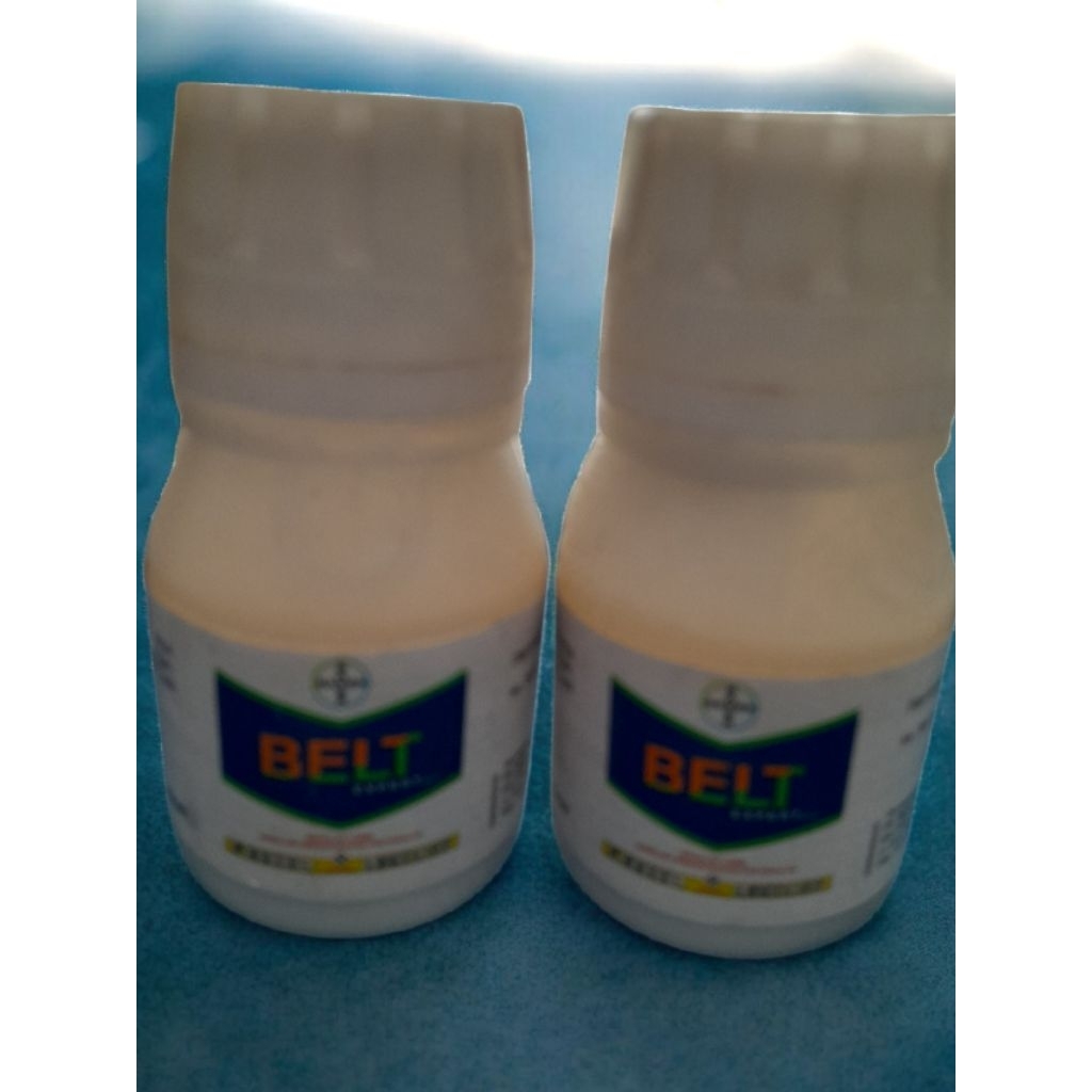 Insektisida Belt Expert 50ml