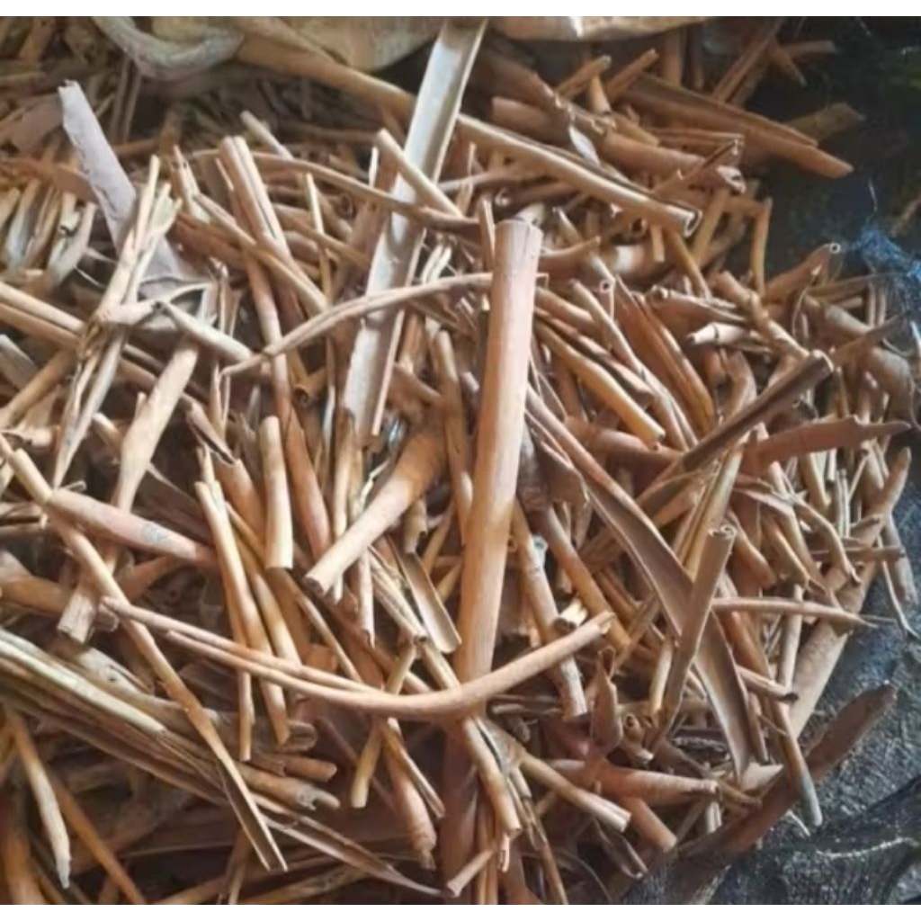 kulit kayu manis asli kerinci