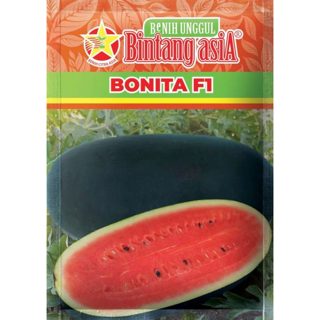 Benih Semangka BONITA F1 20 Gram Bintang Asia