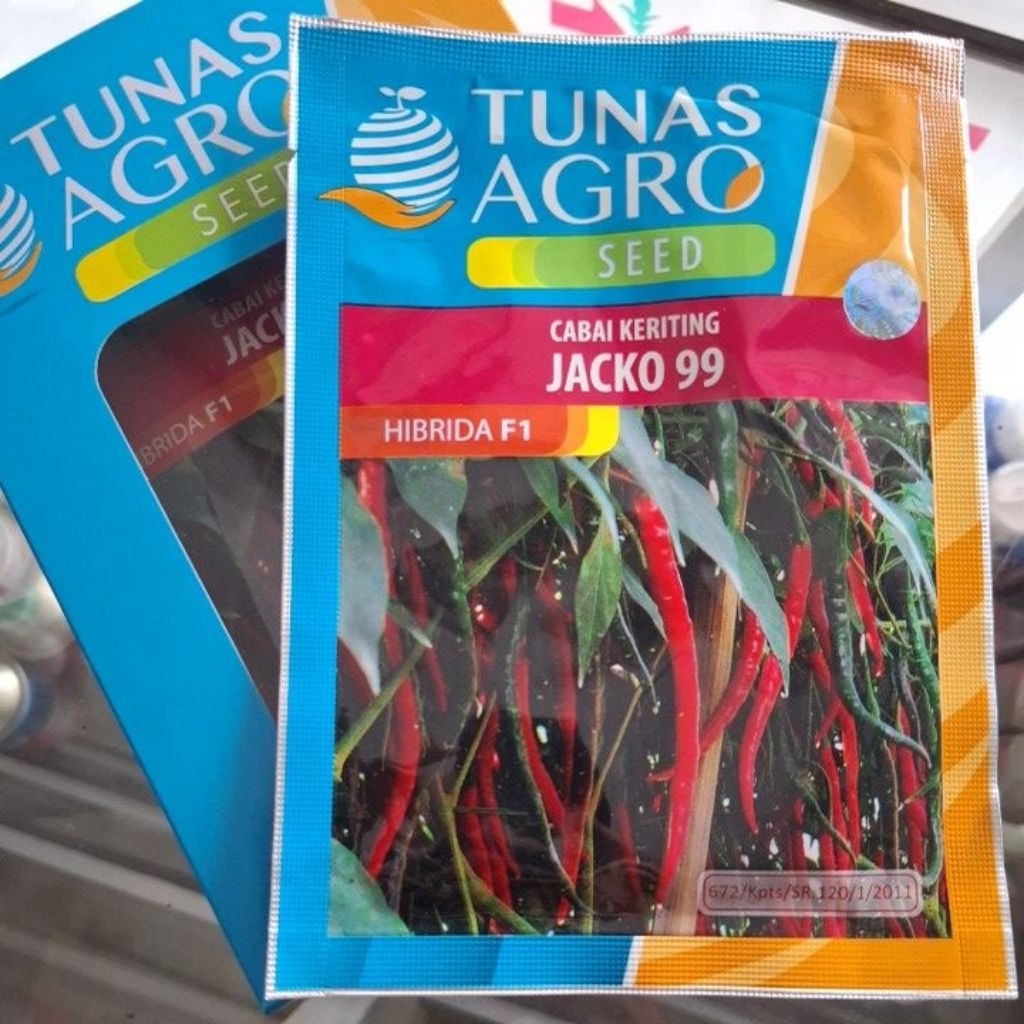 Benih cabe keriting F1 JACKO 99, cabe merah keriting hibrida Tunas Agro Seed