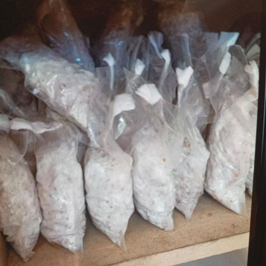 Bibit jamur florida F2