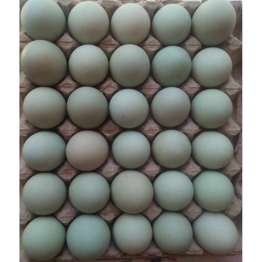 Telur Bebek Mentah 1 krat