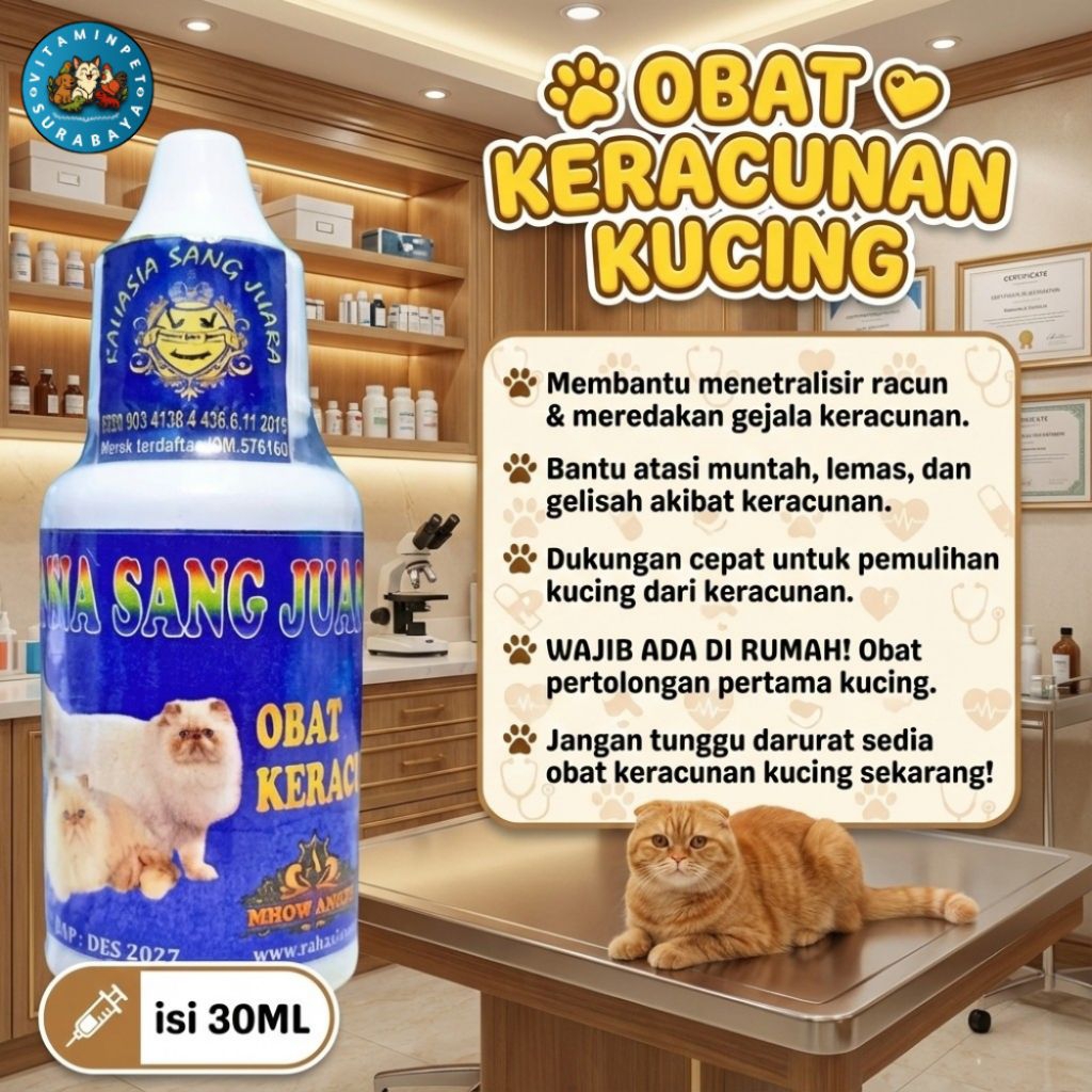 Obat Keracunan Untuk Kucing Terbukti Ampuh Mengatasi Kucing Yang Keracunan - Rahasia Sang Juara