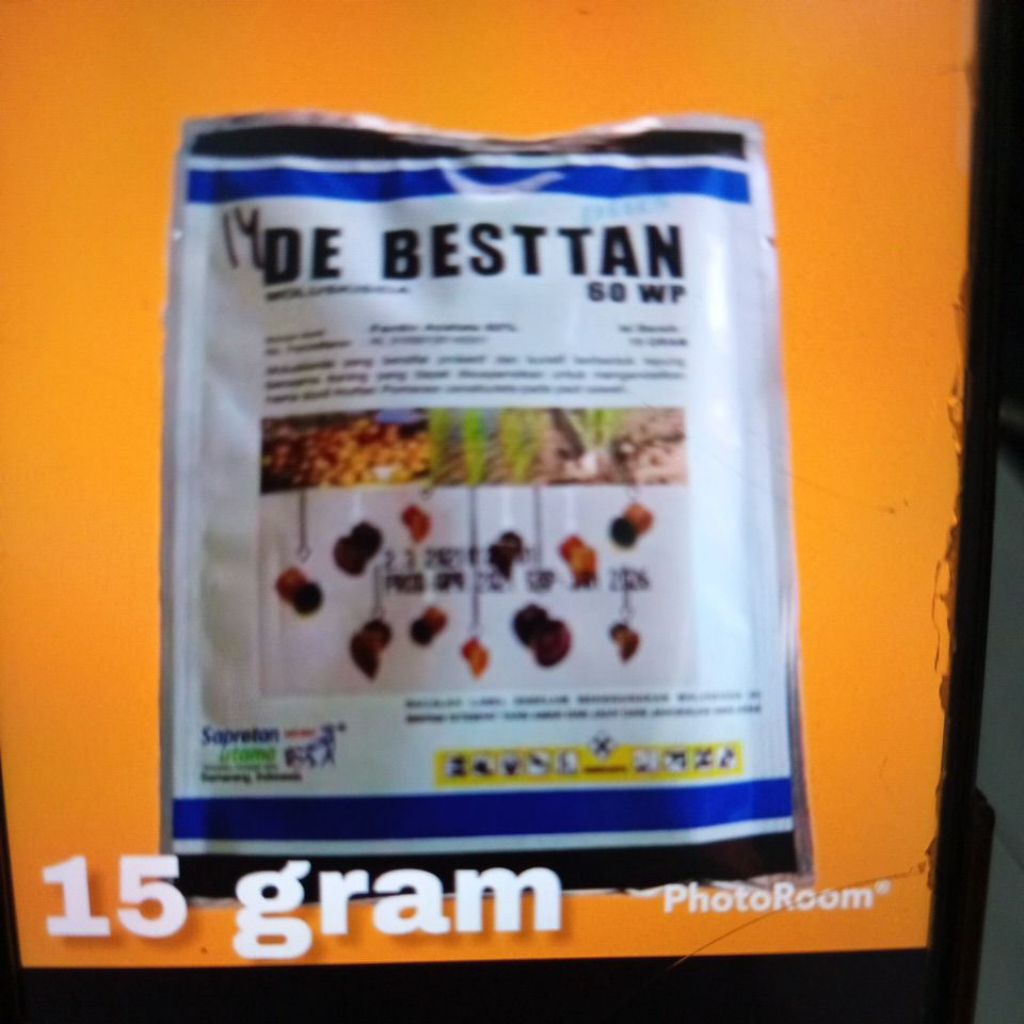 OBAT KEONG SAWAH AMPUH DEBESTAN, KEONG LANGSUNG MATI