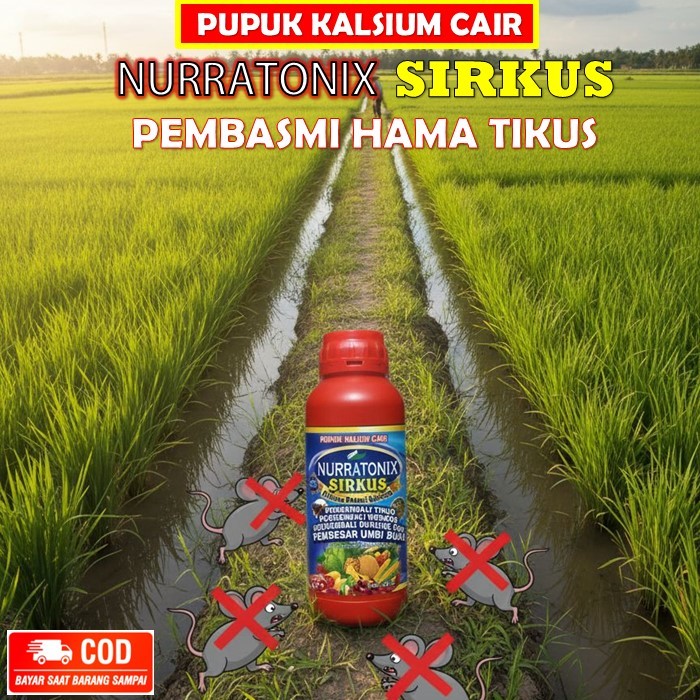 pupuk kalsium cair nurratonix sirkus 500 ML - pupuk efektif mengusir tikus, burung mprit dan wereng 