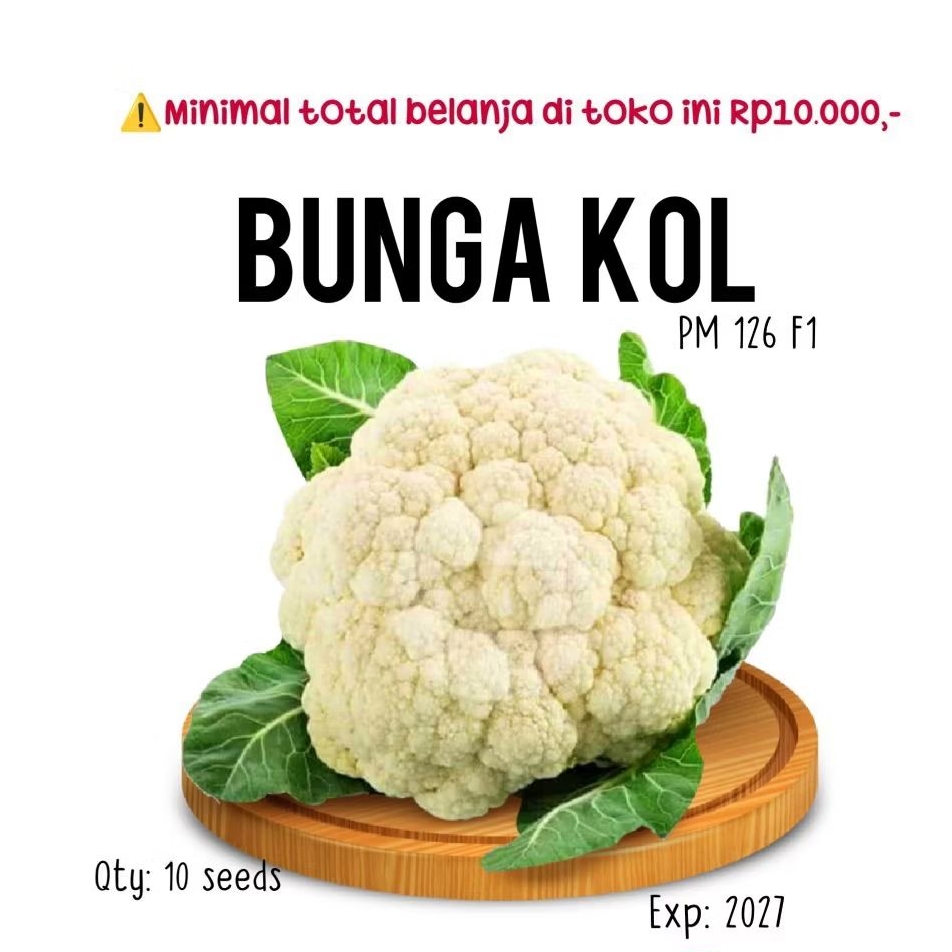 10 biji - benih bunga Kol PM 126 F1