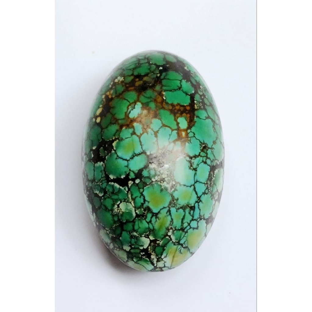 Pirus ceplok Hubei 0040