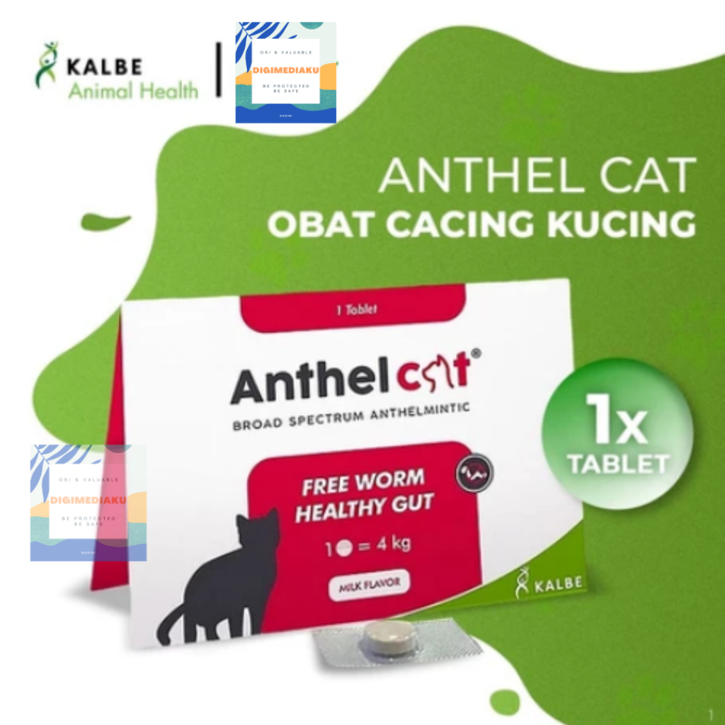 KALBE ANTHEL CAT Tablet Obat Cacing Kucing Praziquantel Pyrantel Pamoate Obat Cacing Kucing by Kalbe