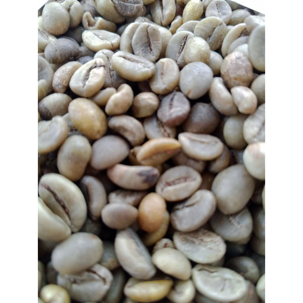 biji kopi robusta asli Lereng semeru