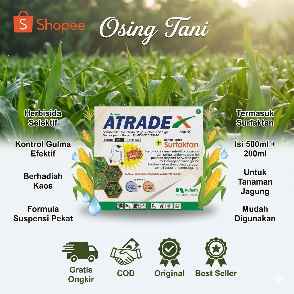 Atradex 550 herbisida selektif pembasmi gulma pada tanaman jagung