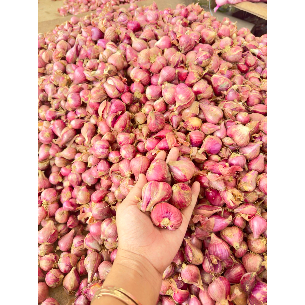BAWANG MERAH BREBES SUPER 1kg