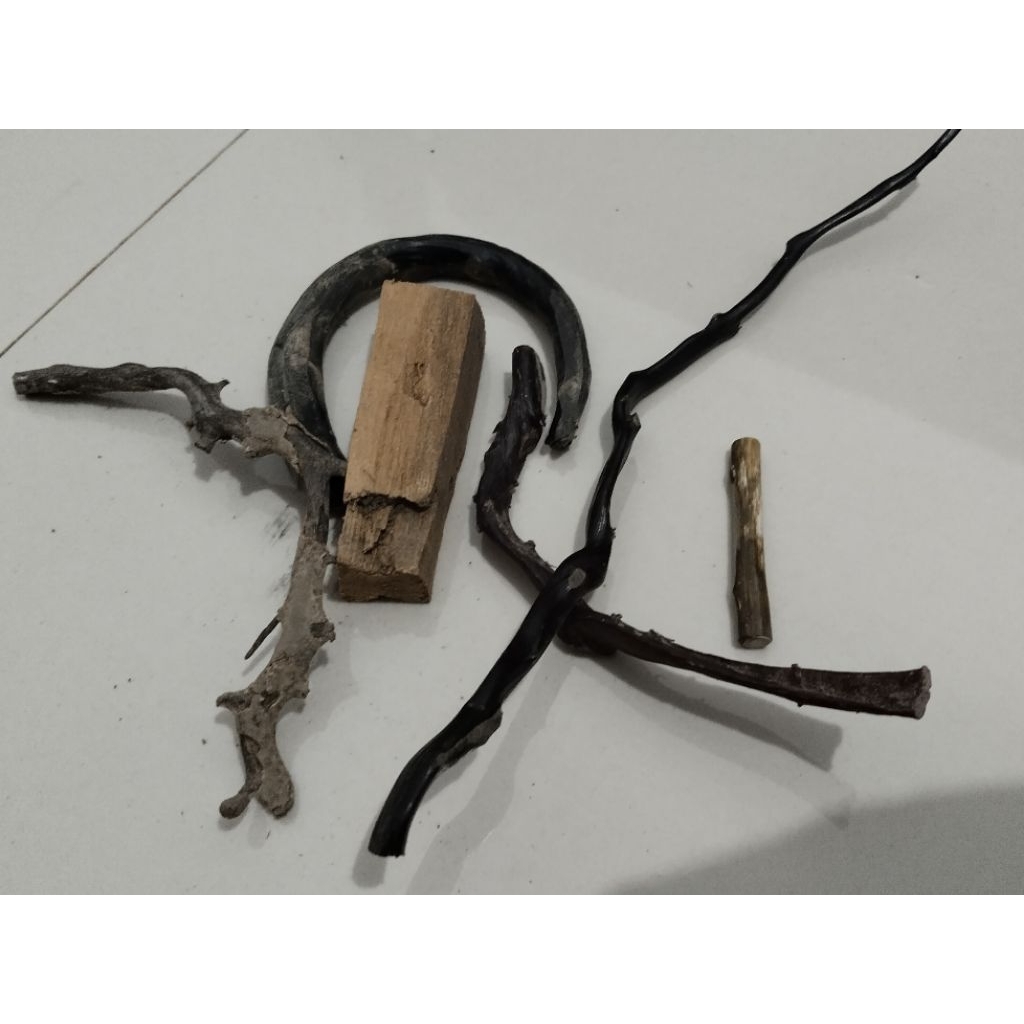 Koleksi akar bahar isin sabuk.uli gadang nusa, uli brahma, uli hitam kayu gaharu