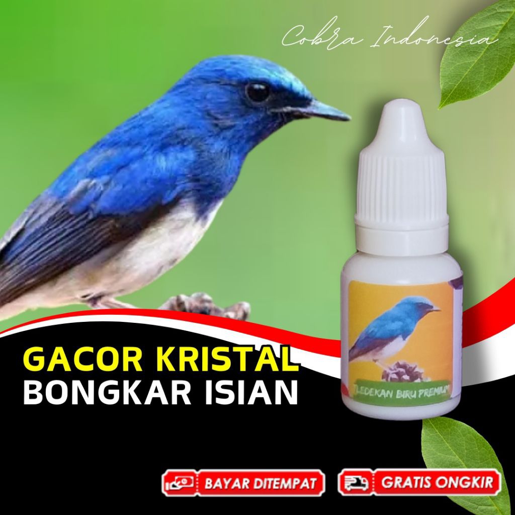 Vitamin Burung Tledekan Laut