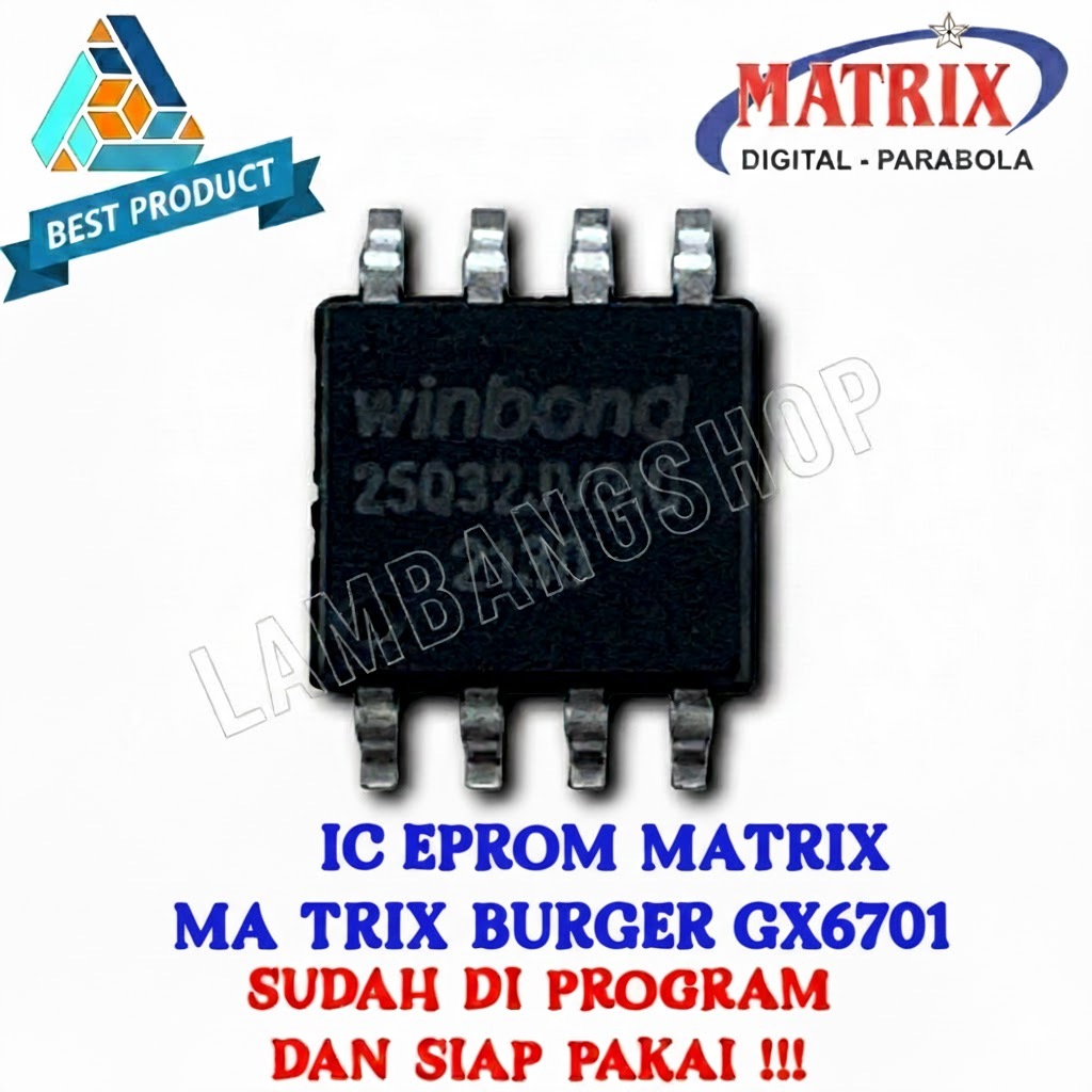 IC EPROM MATRIX BURGER