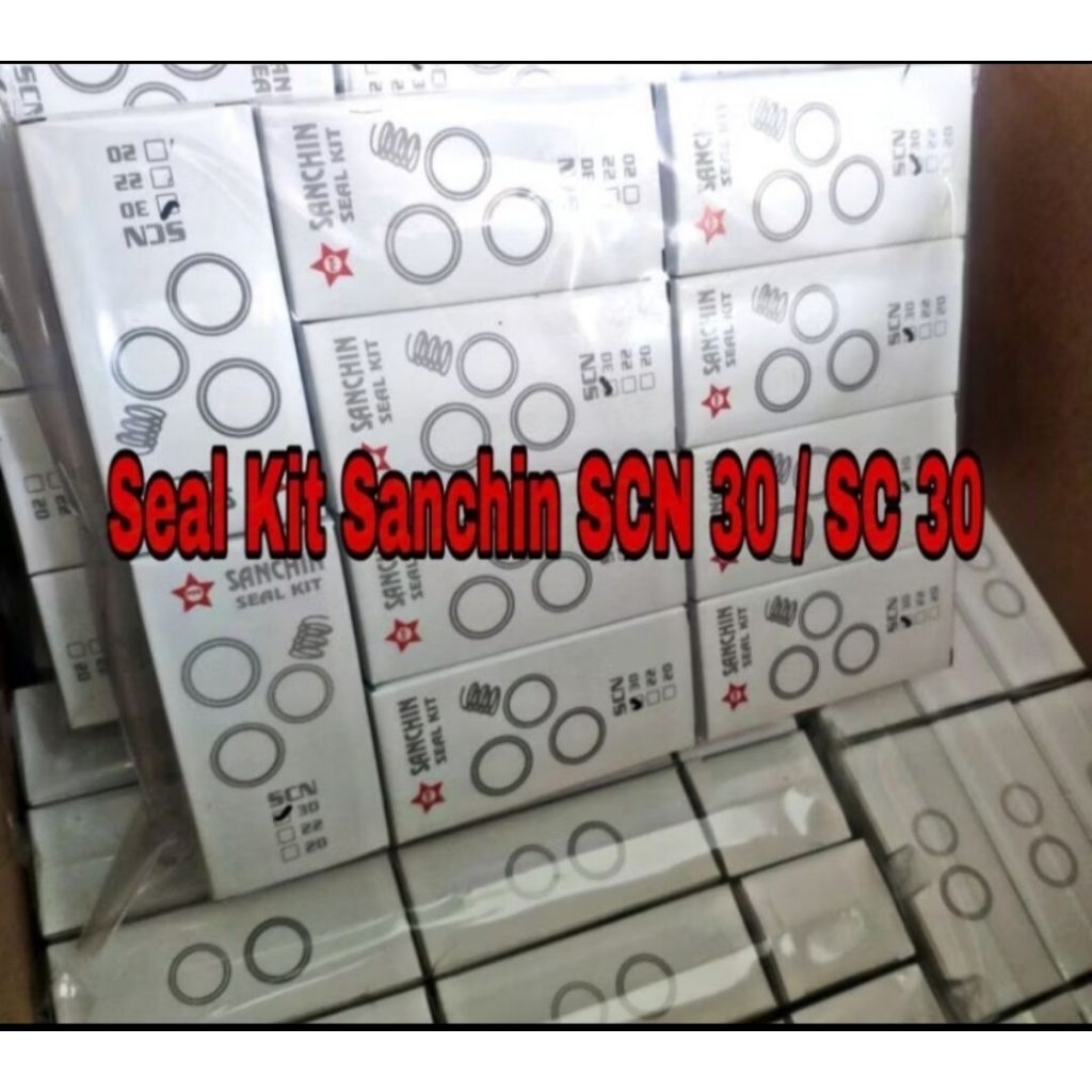 Seal kit sanchin 30