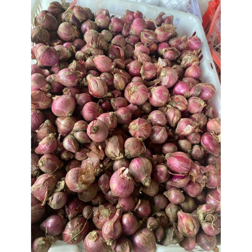 bawang merah premium jawa 1kg