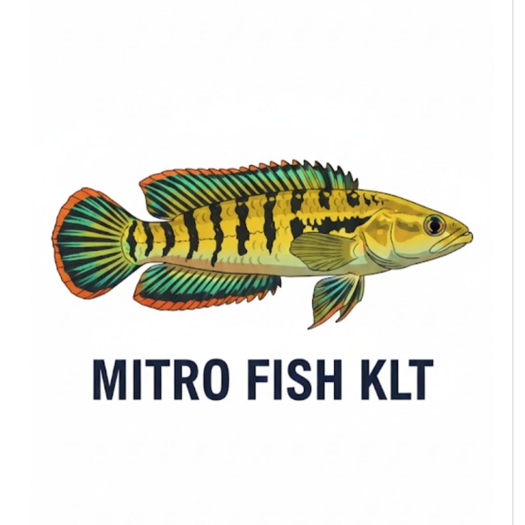 stiker andrao 6-8 cm