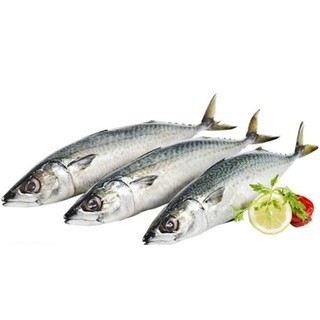 IKAN TENGGIRI SUPER SEGAR 1 EKOR UTUH