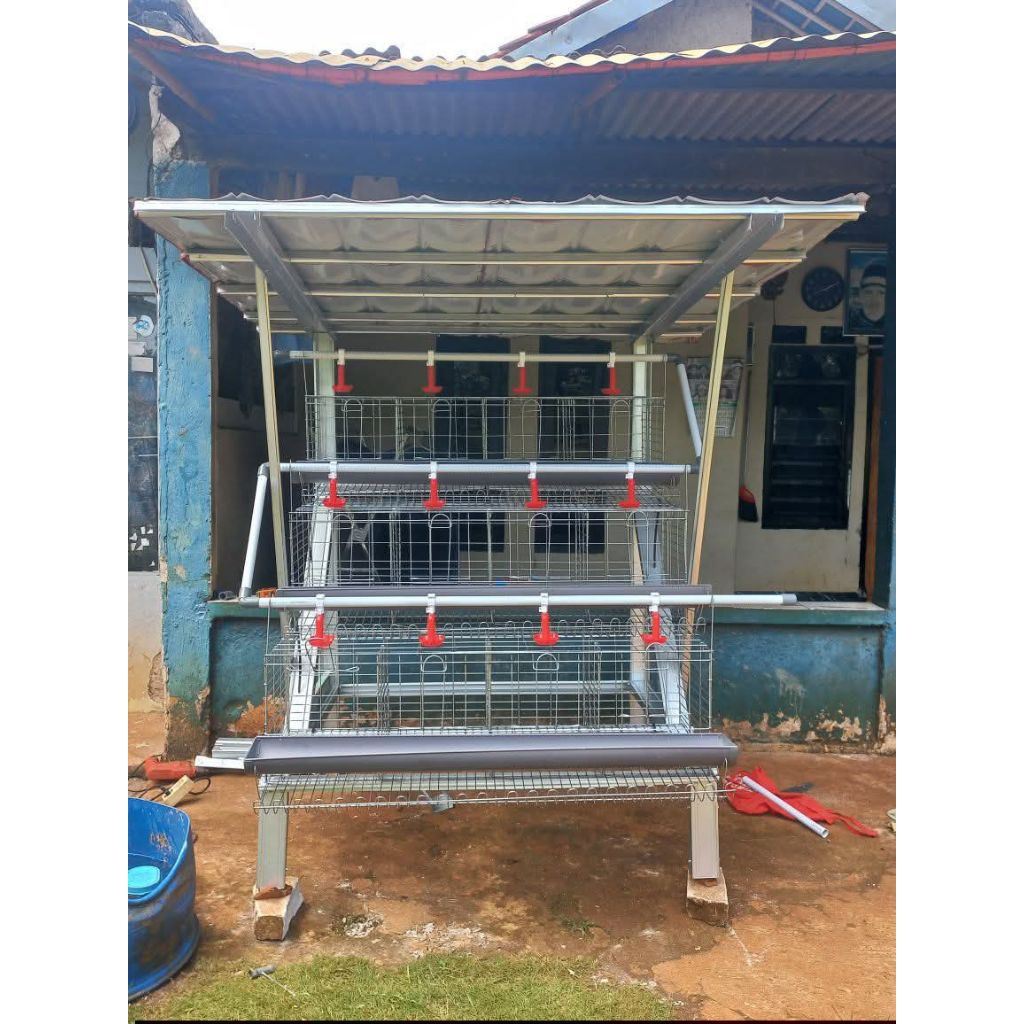 Kapasitas 24 Ekor full set Kandang ayam petelur