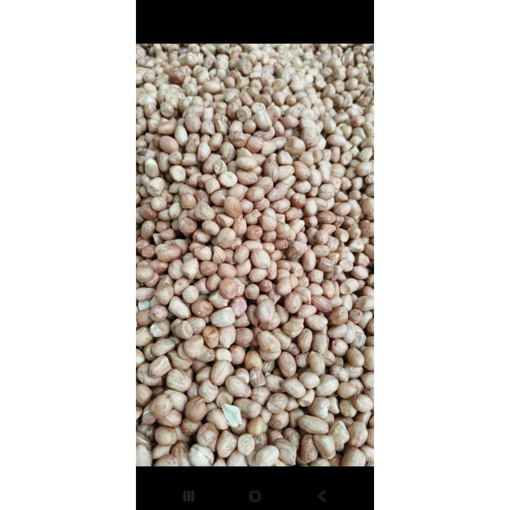 kacang tanah 1kg
