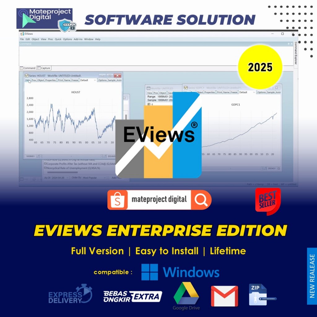Eviews 14 13 Pro Enterprise Full Version Lifetime