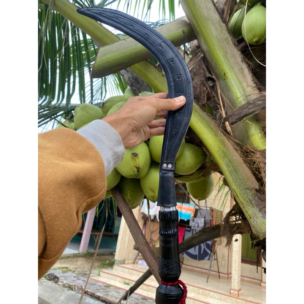 arit rumput asli Madura serbaguna 60cm bulu ayam