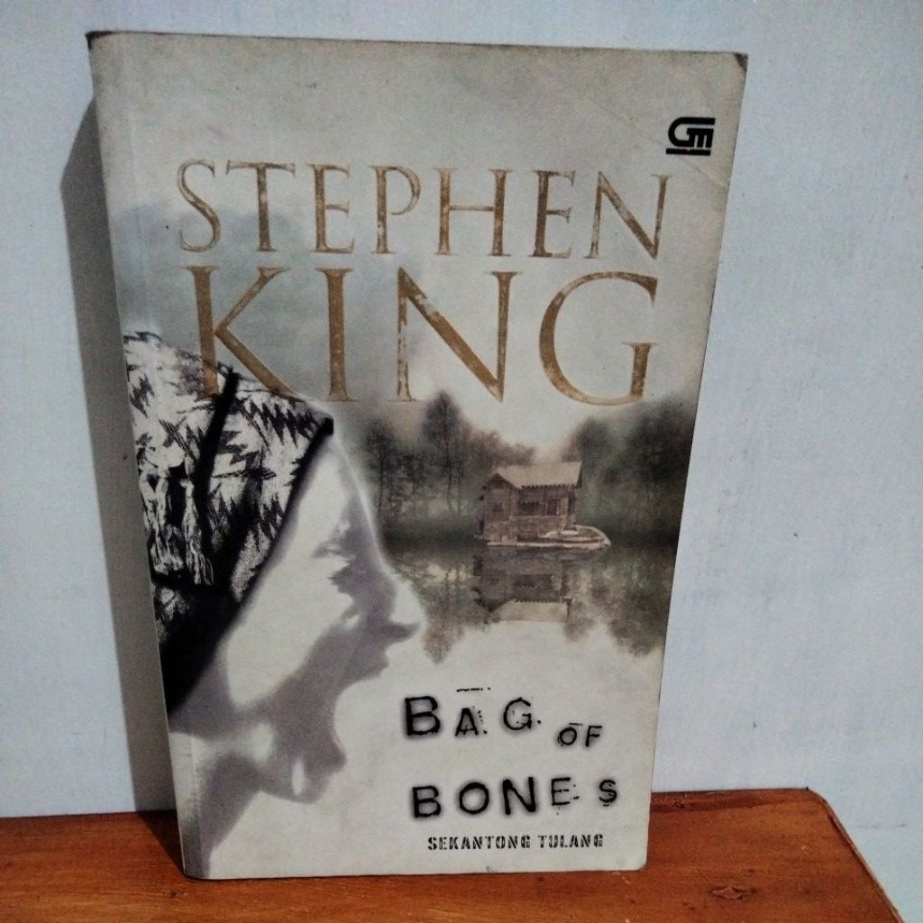 Novel Bag of Bones Stephanie King