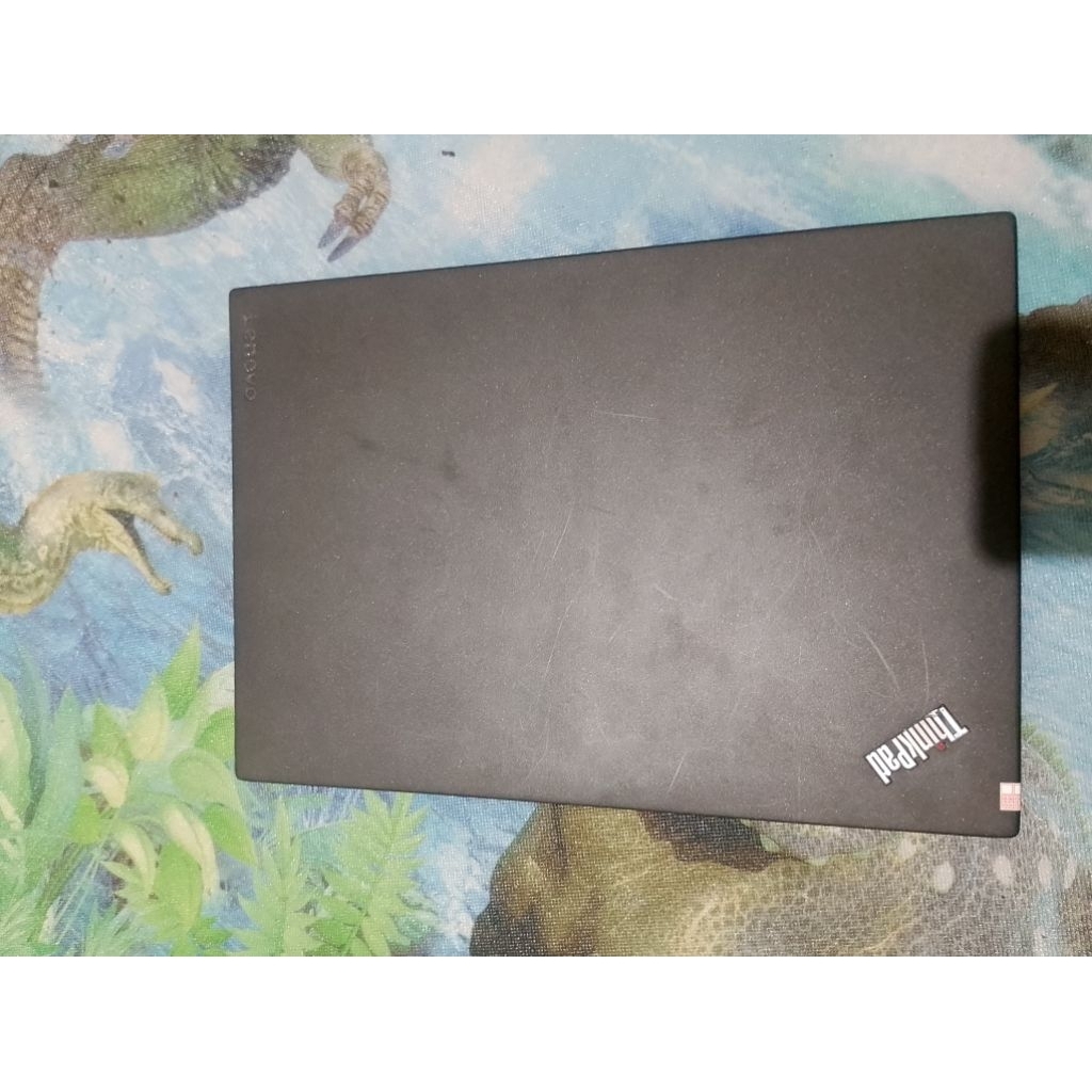 Thinkpad T480