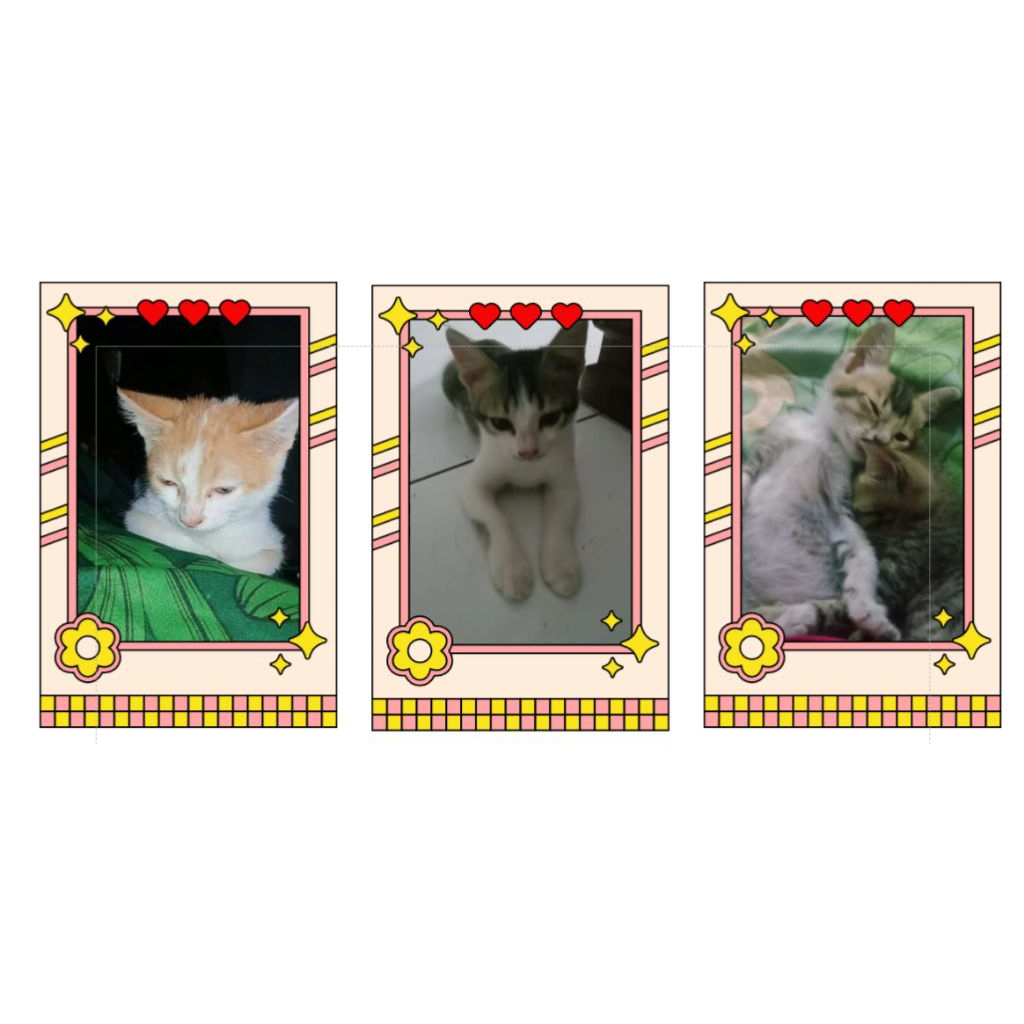 Foto polaroid background motif (1)
