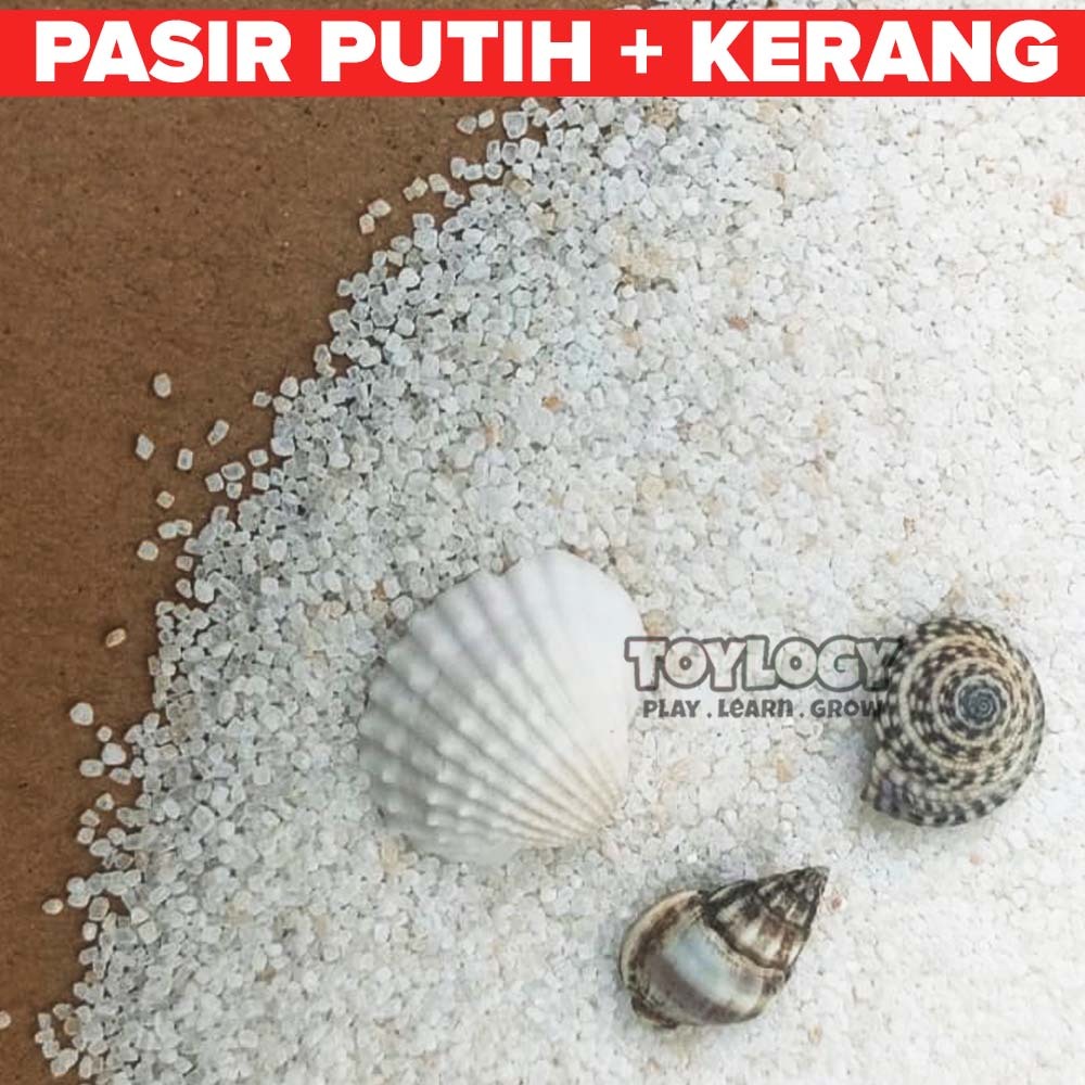 Mainan Pasir Putih Asli Cangkang Kerang Shells White Silica Sand Konstruksi Toy