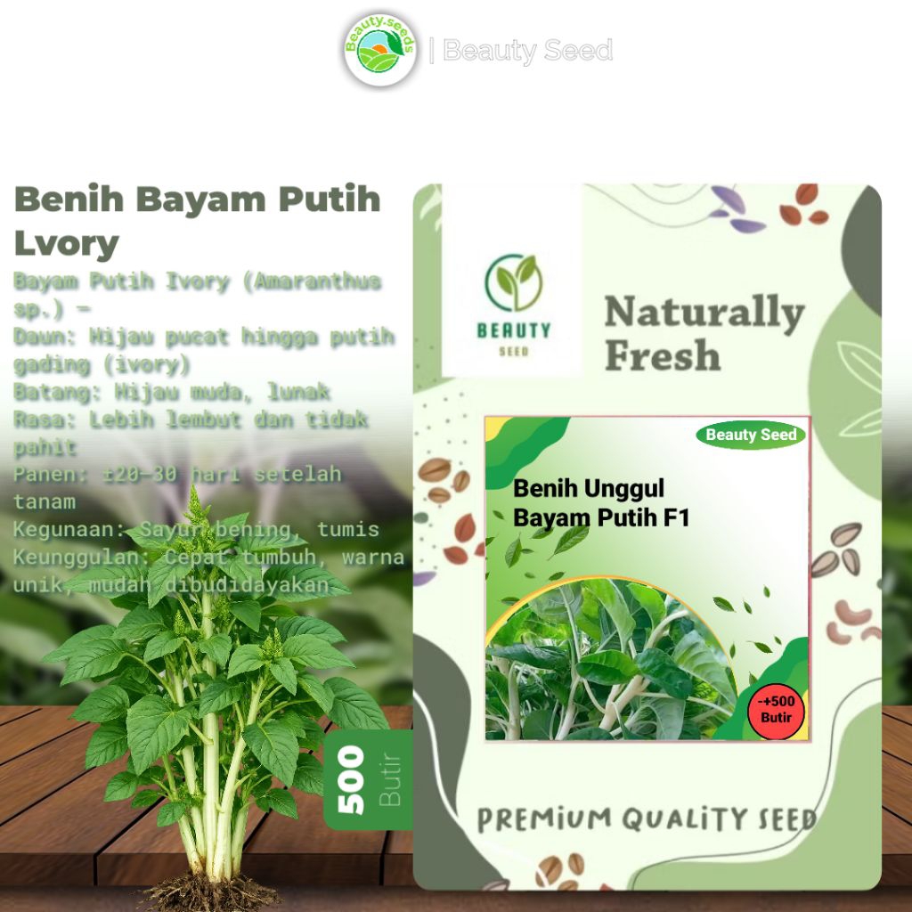 Benih Bayam Putih Lvory - (-+500) Benih Bayam Batang Putih F1