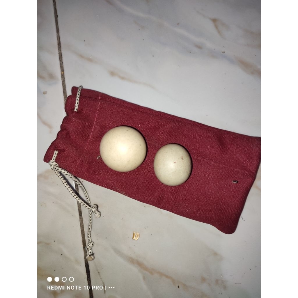 Sepasang telur ayam jantan sudah jadi batu