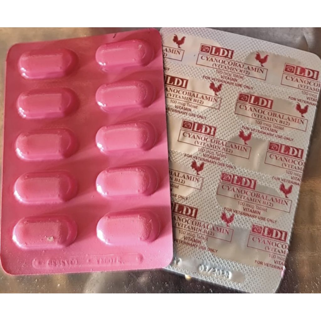 B12 LDI SUPLEMEN MULTIVITAMIN AYAM