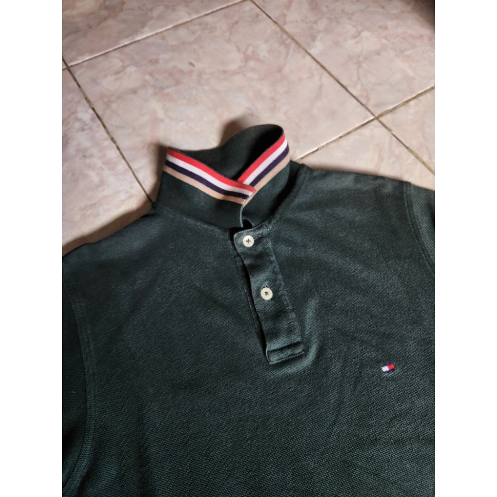 POLO TOMMY