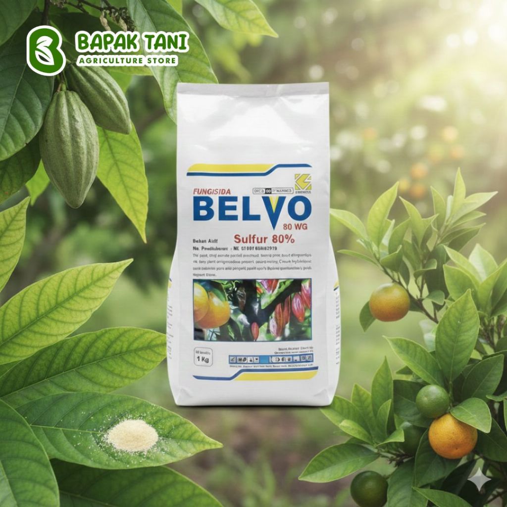Fungisida Belvo 80 WG 1 Kg