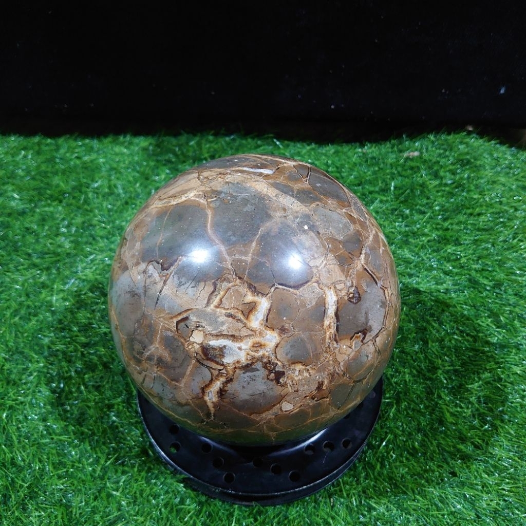 PROMO Batu Alam Septarian /jalak sutraAlami Langka