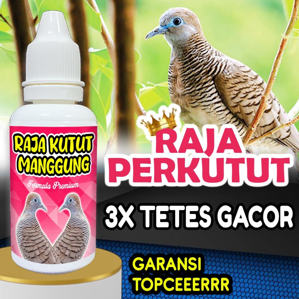 Jamu Perkutut Gacor "RAJA KUTUT MANGGUNG" Vitamin Kicau Burung Perkutut - Menjaga Stamina dan Suara 