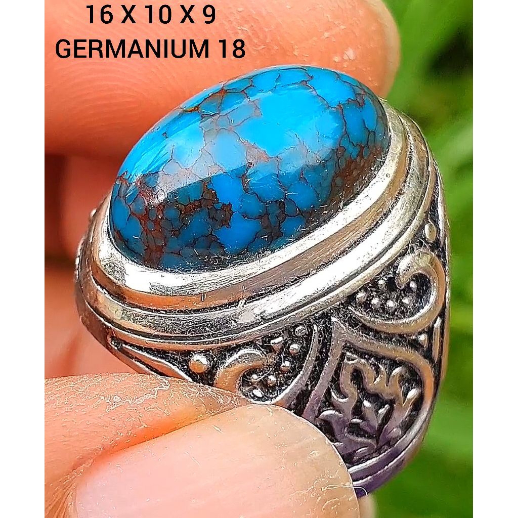 pirus mesir lawasan 243