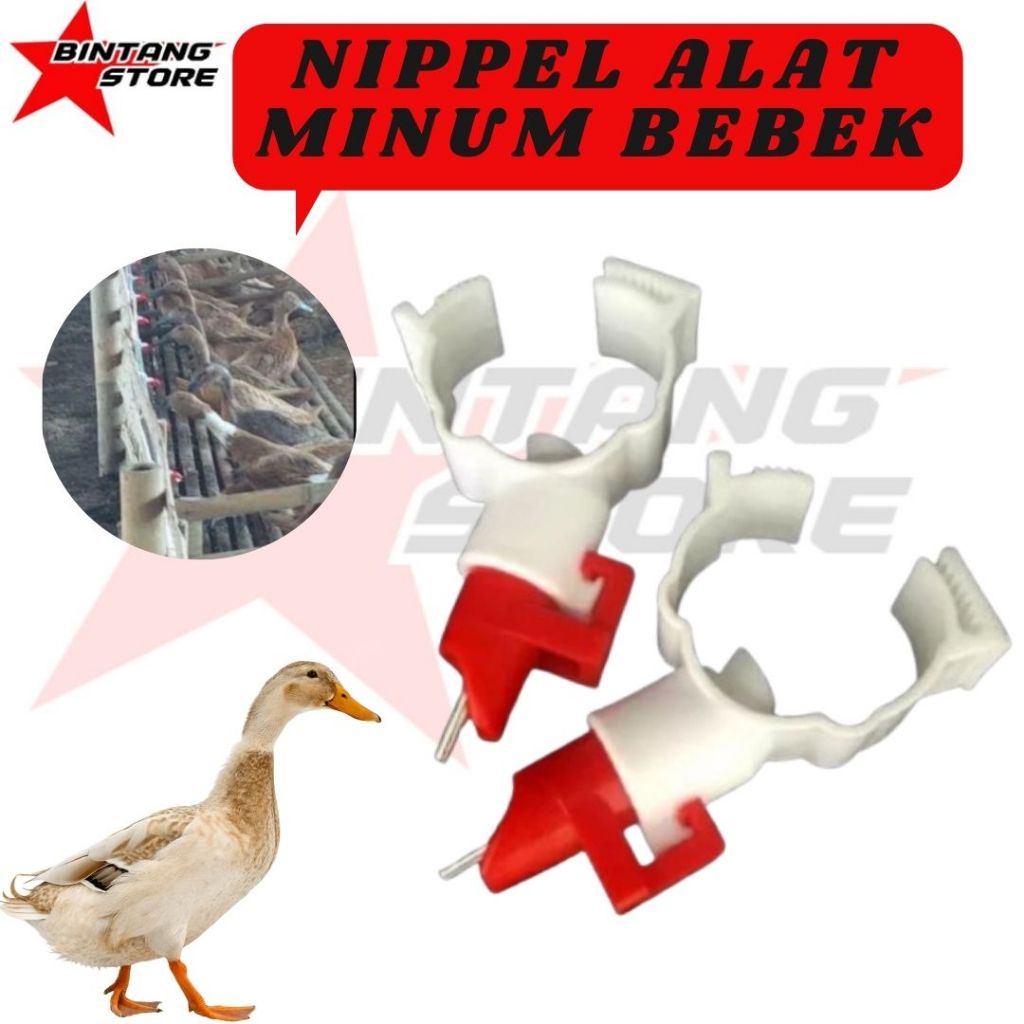 Nipple Nipel Bebek CK1 Alat Minum Bebek BINTANGSTORE