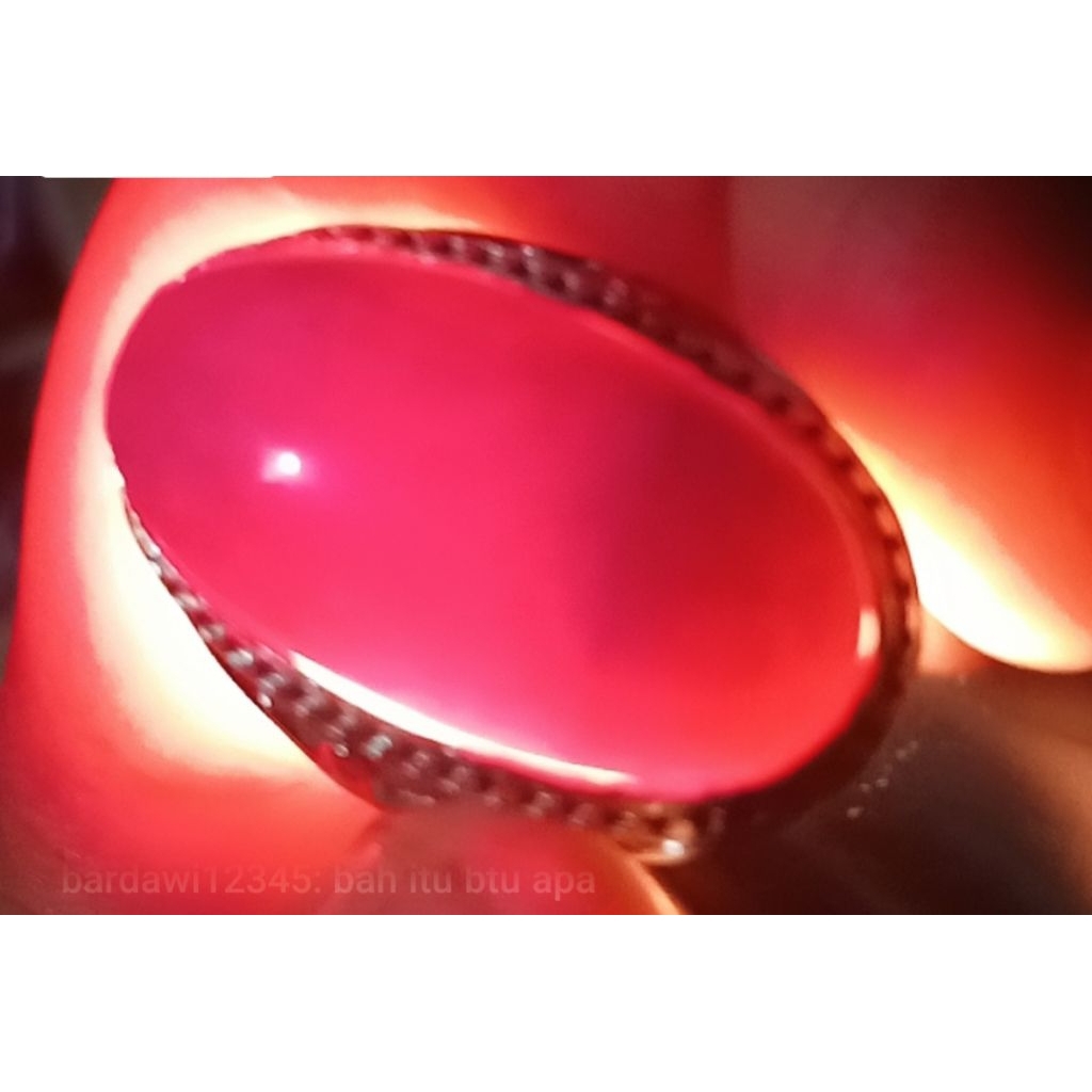 red Borneo kalimantan asli